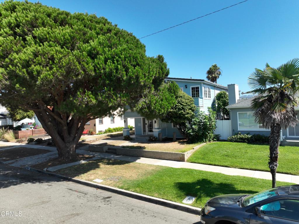 228 Avenue C