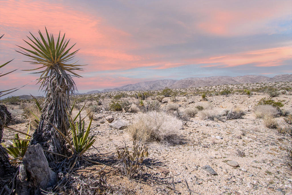 Owner may carry! Panoramic ridge top 40 acres adjacent to the JTNM Park gate in the highly sought after Upper Hanson Area of 29 Palms. Tranquility with breathtaking vistas at about 2,500 elevation set above 29 Palms. Various terrain with a rising ridge offering a commanding vantage point. Magical sunset and city lights. Very few neighbors. 40 acres offers opportunities to build a designer compound with several homes and guest homes. Potential for subdividing to optimize your investment. No city water. Seller says the notably clean Joshua Tree Aquifer water is about 650ft below the property and is known to produce 15-18 gallons per minute. Power appears to be by the east side of the property. Beautiful natural fauna. Close to Indian Head rock climbing area. Nestled in a valley between the Little San Bernardino Mtns and the 29 Palms Mtns. Close to all amenities in 29 Palms. Short drive cafes, organic restaurants, bars and boutiques. About 3 million tourists visit the JT National Monument annually. Home designers & architects have been building & remodeling many homes with trendy mid century modern styles. Many consider the Upper Hanson Area will become the next hottest neighborhood to boast million dollar homes. For all questions on building and uses contact the city planners. For questions on utilities, call well, power, & wi-fi companies. APN 0590-141-19 Address is not a real & for marketing only. Dirt road, 4x4 recommended. GPS 34.099428, -116.0212