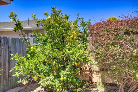 Tiny photo for 444 Walnut ST, Arroyo Grande, CA 93420 (MLS # PI26149644)