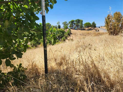 Photo of 7116 Weatherby PL, Corning, CA 96021 (MLS # SN26184210)