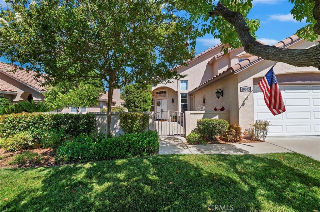 40503 Calle Lampara