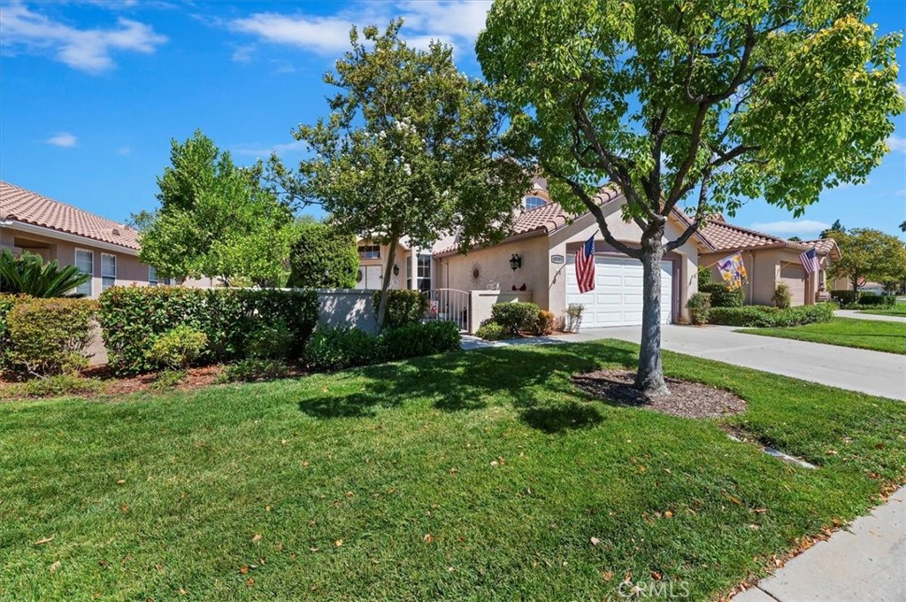 40503 Calle Lampara