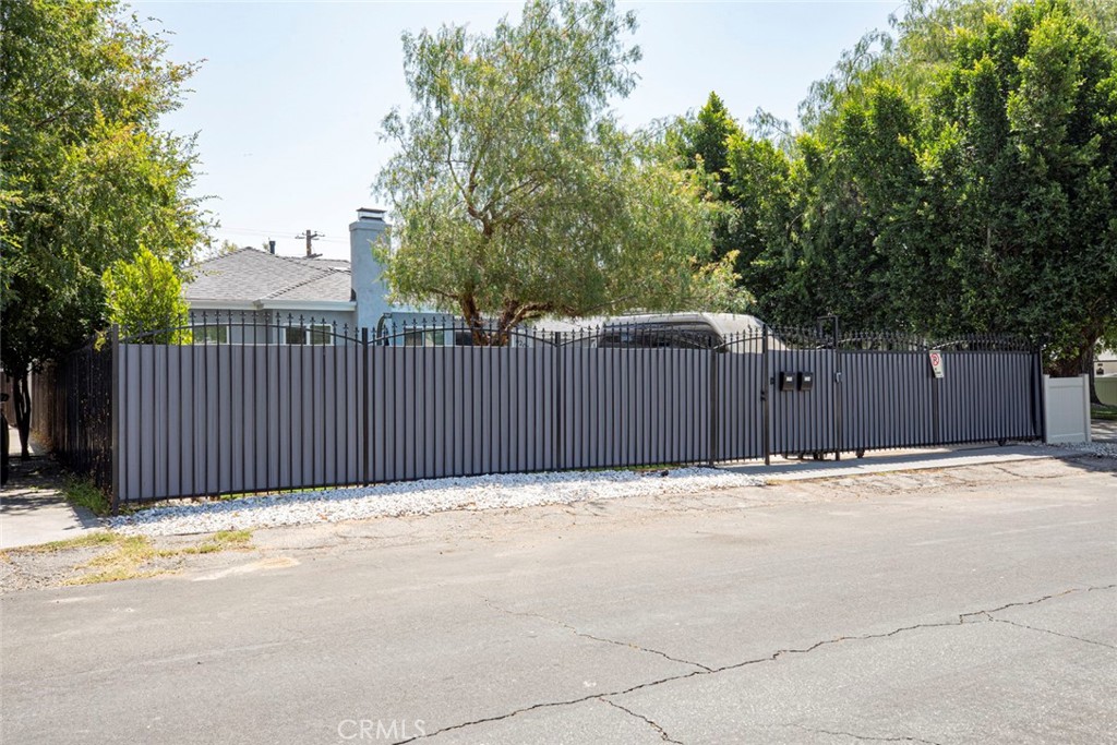 6206 Camellia