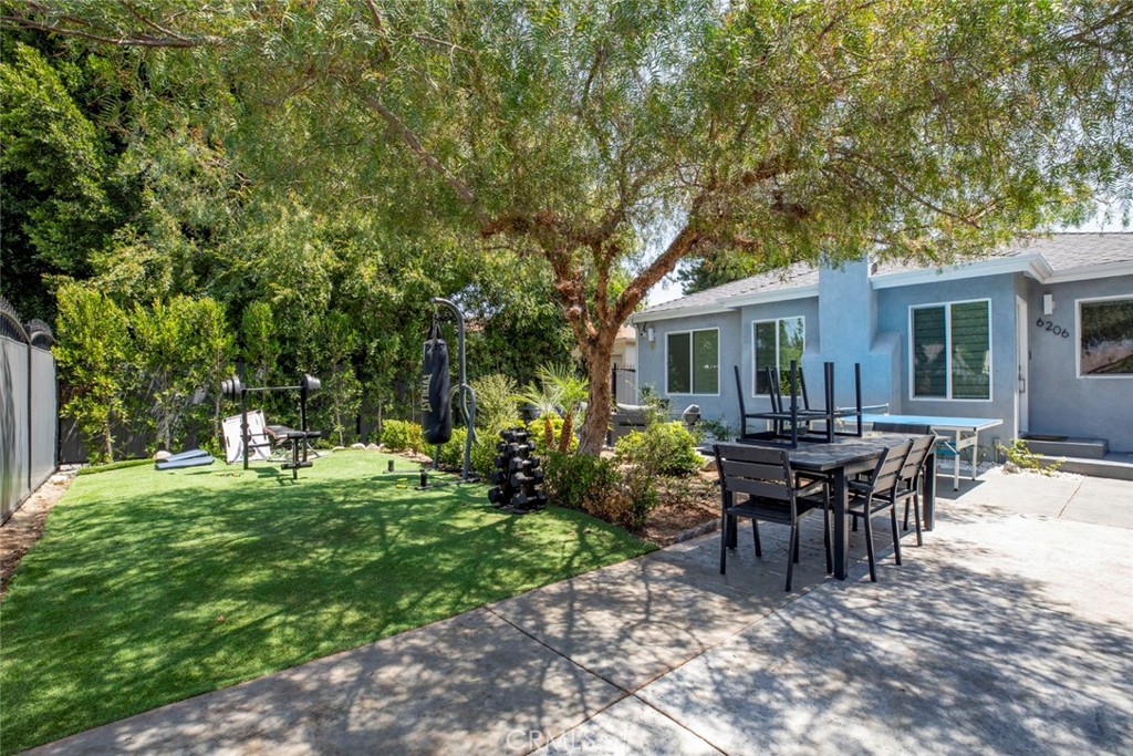 6206 Camellia