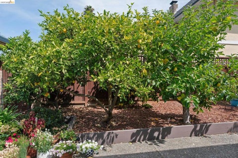 Photo of 904 View Drive, Richmond, CA 94803 (MLS # 41148418)