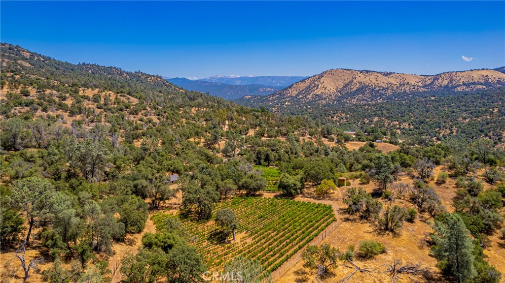Craft Winery & Vineyard Estate Opportunity | 40 Acres in O'Neals, CA
Dreaming of a turn-key, hands-on wine country lifestyle? This vineyard estate is nestled in the Sierra foothills just 30 miles north of Fresno—along the scenic route to Yosemite.
At a 1,300-foot elevation, this 40-acre property features gently rolling terrain dotted with mature oaks, manzanitas, and digger pines. At its heart lies an established winery compound, complete with:
A 2,300 sq. ft. earth-bermed winery facility — up to 5,000-case capacity
Approximately 3 acres of mature vineyards close planted with 8 classic red Bordeaux varieties
A charming 1,430 sq. ft. cottage with oversized garage and outbuildings
Located above the fog and below the snow — enjoy clear skies and four seasons
Some acreage suitable for cattle grazing
Potential event site with breathtaking views — ideal for a wedding venue, horse property, or vacation rental
Underground utilities and a spring-fed stock tank
Knoll-top building sites with sweeping views of Spring Valley and the Sierras — perfect for your future grand estate
Fully fenced and cross-fenced for privacy, livestock, or future development
This legacy property has operated for 30 years as Westbrook Wine Farm, an acclaimed artisanal winery producing award-winning, terroir-driven wines. Whether you option to continue its proud tradition, launching your own label, or simply embracing the country lifestyle.—this is your rare opportunity.
Create. Cultivate. Celebrate.
This is more than a property — it’s a lifestyle waiting to be uncorked.