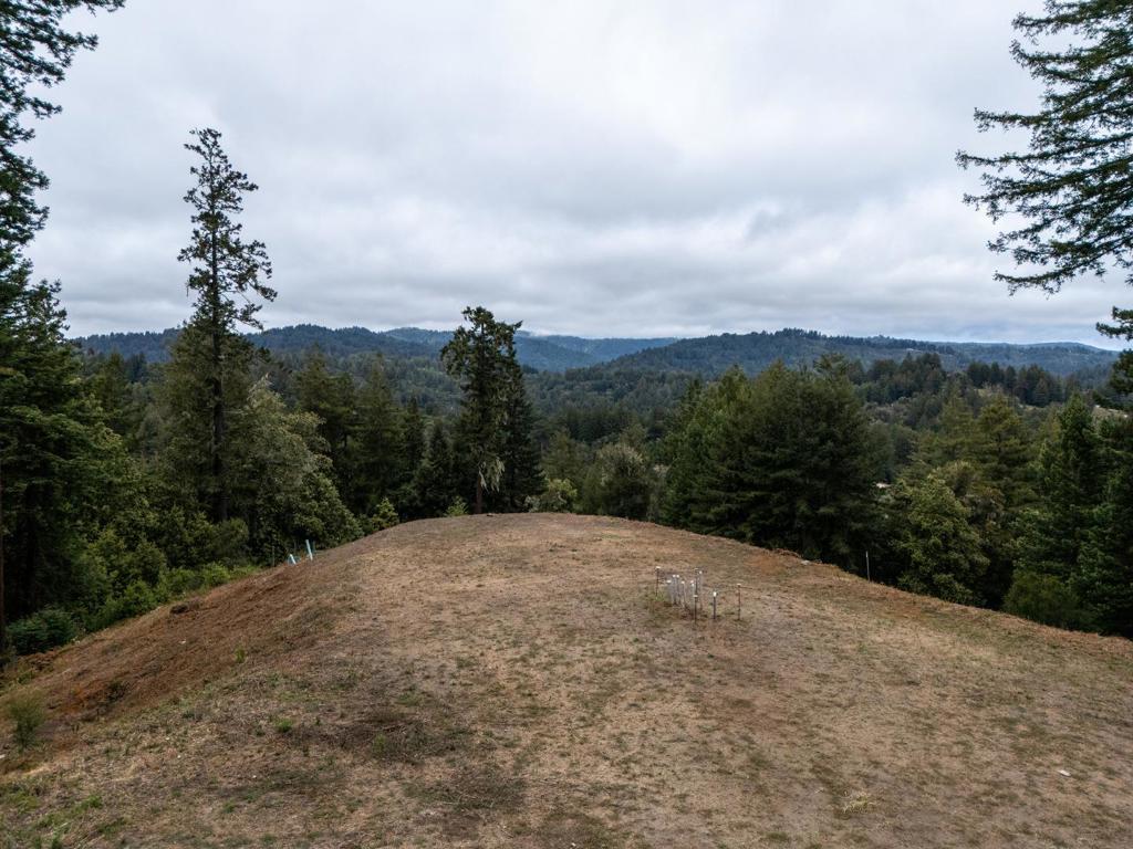 2320 Newell Drive