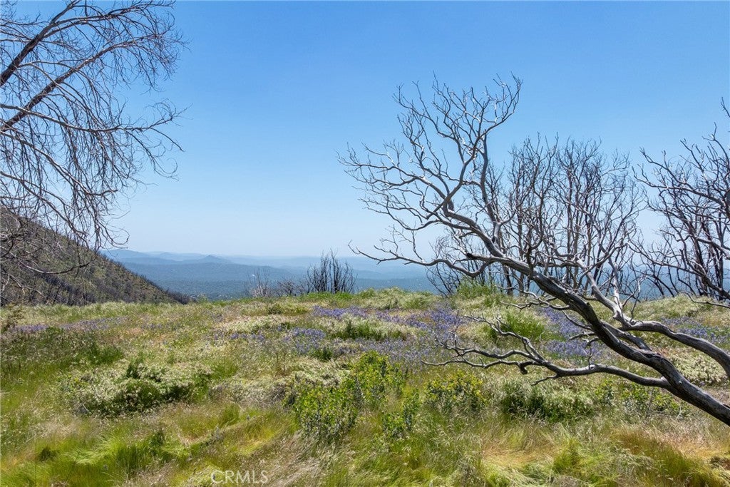 39 Acres Buckingham Mountain Road