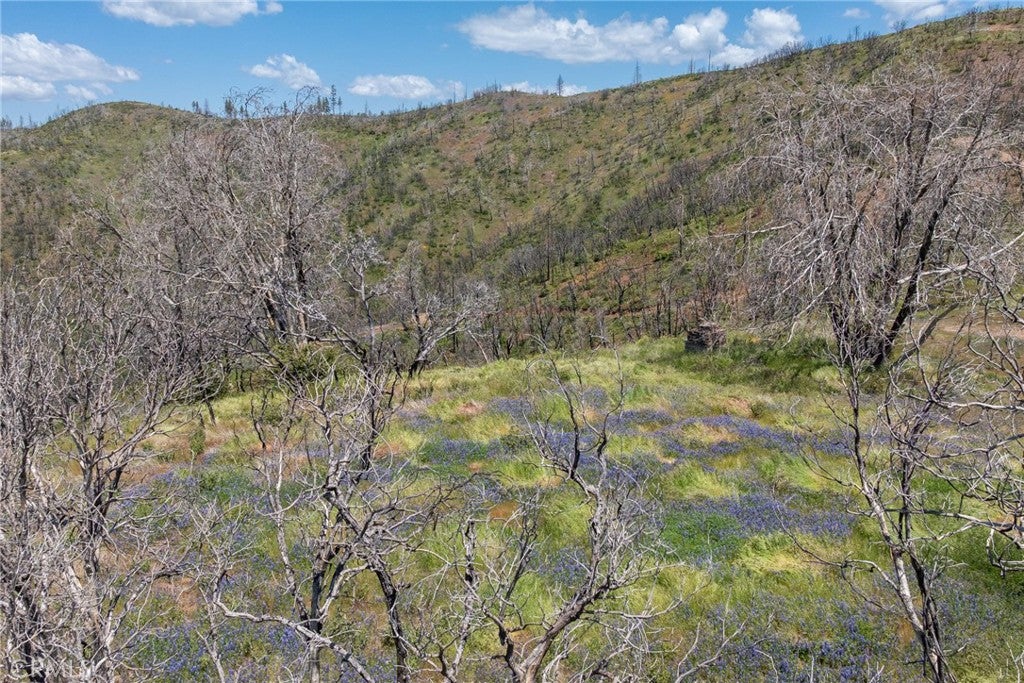39 Acres Buckingham Mountain Road