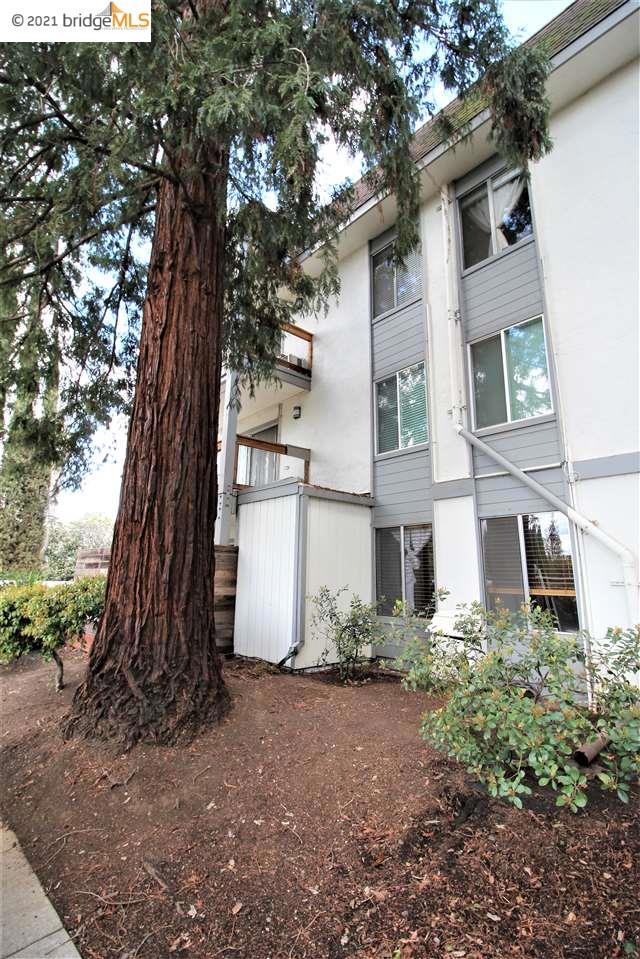 MENDOCINO - Residential