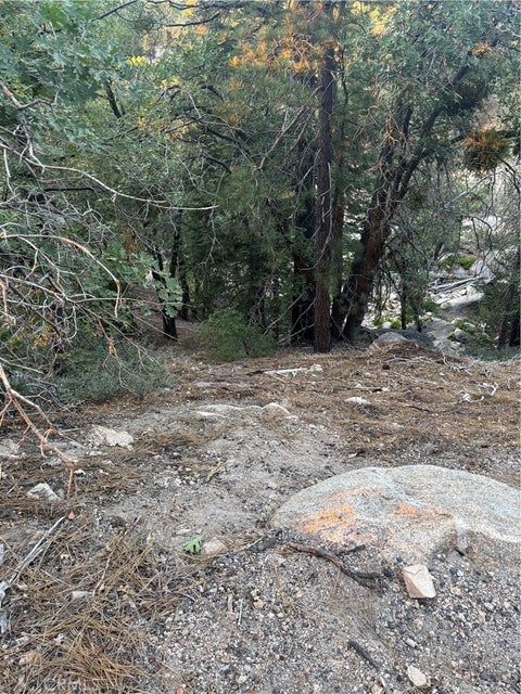 Photo of 0 Ridge Dr, Running Springs, CA 92382 (MLS # HD26189378)