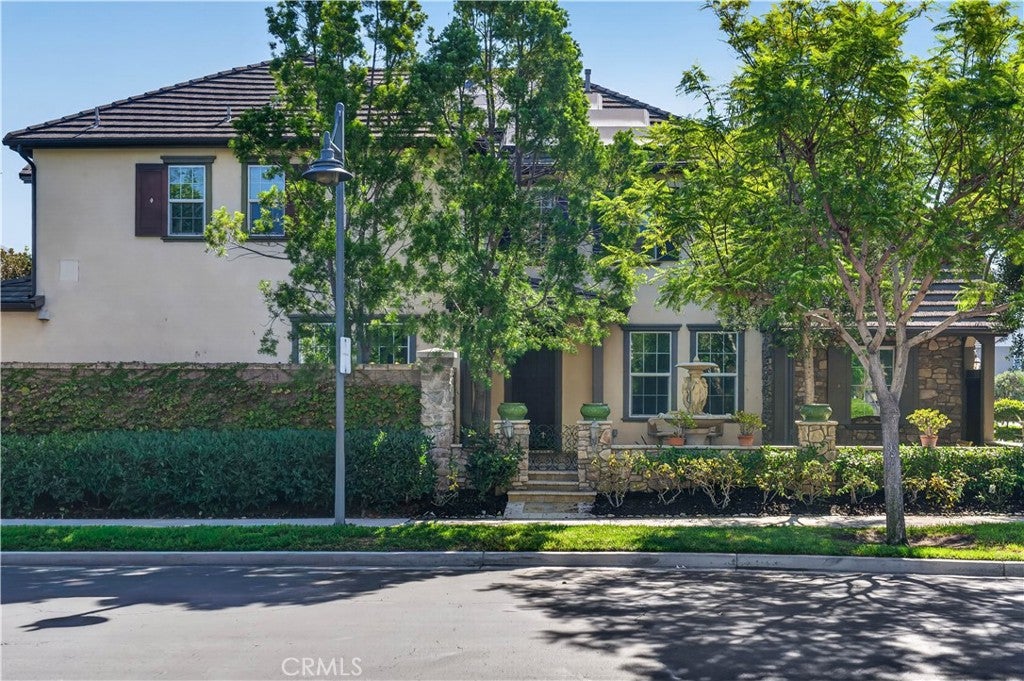 54 Desert Willow
