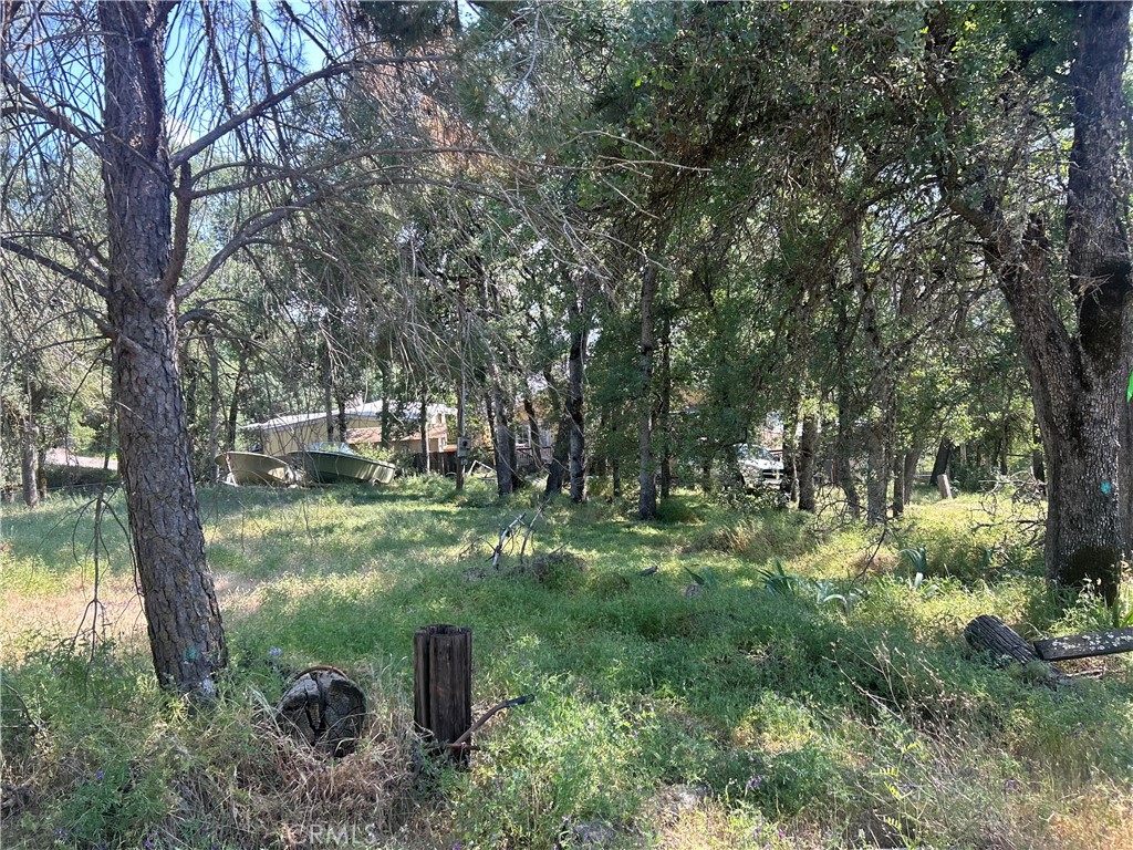 Buildable lot with a convenient location close to stores for all your shopping needs. This property is ready for you to build the home of your dreams with water and sewer already connected.