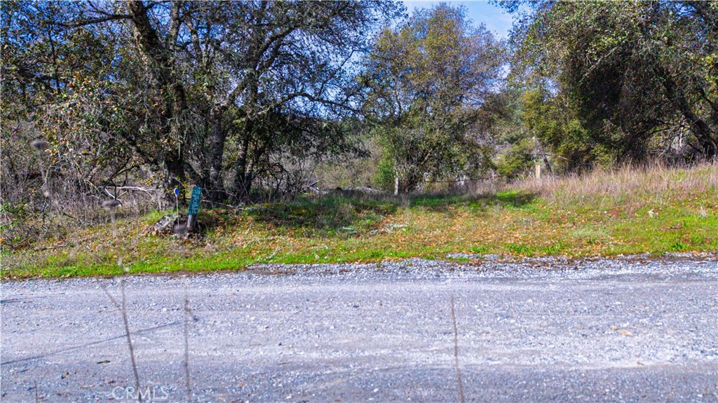2320 Painted Pony Road