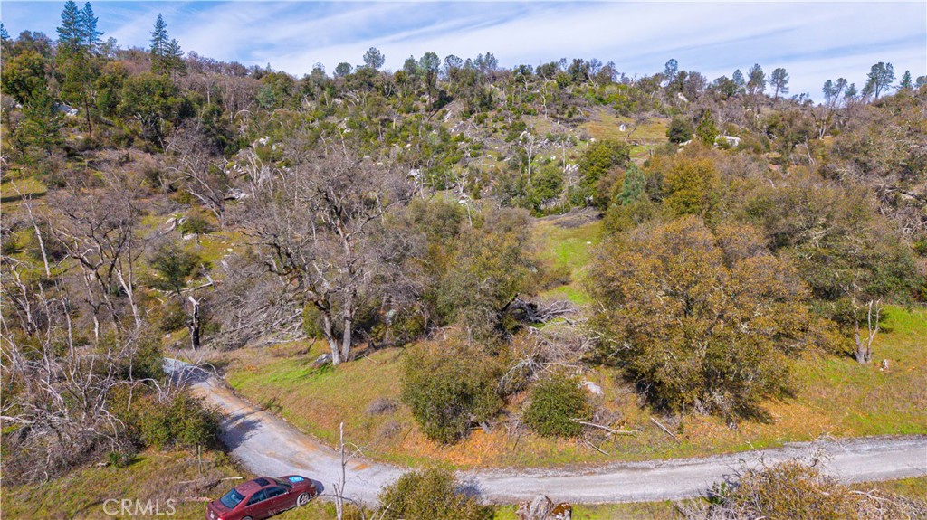 2320 Painted Pony Road