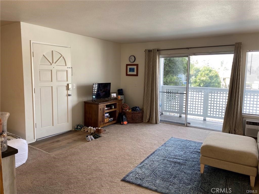 34264 Camino Capistrano 209