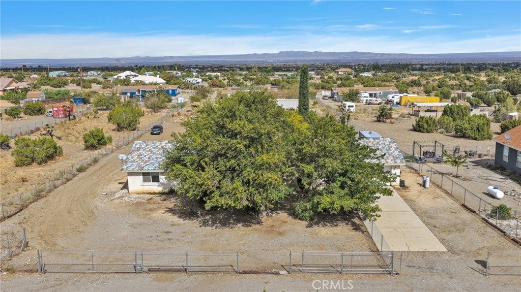 3386 Acacia