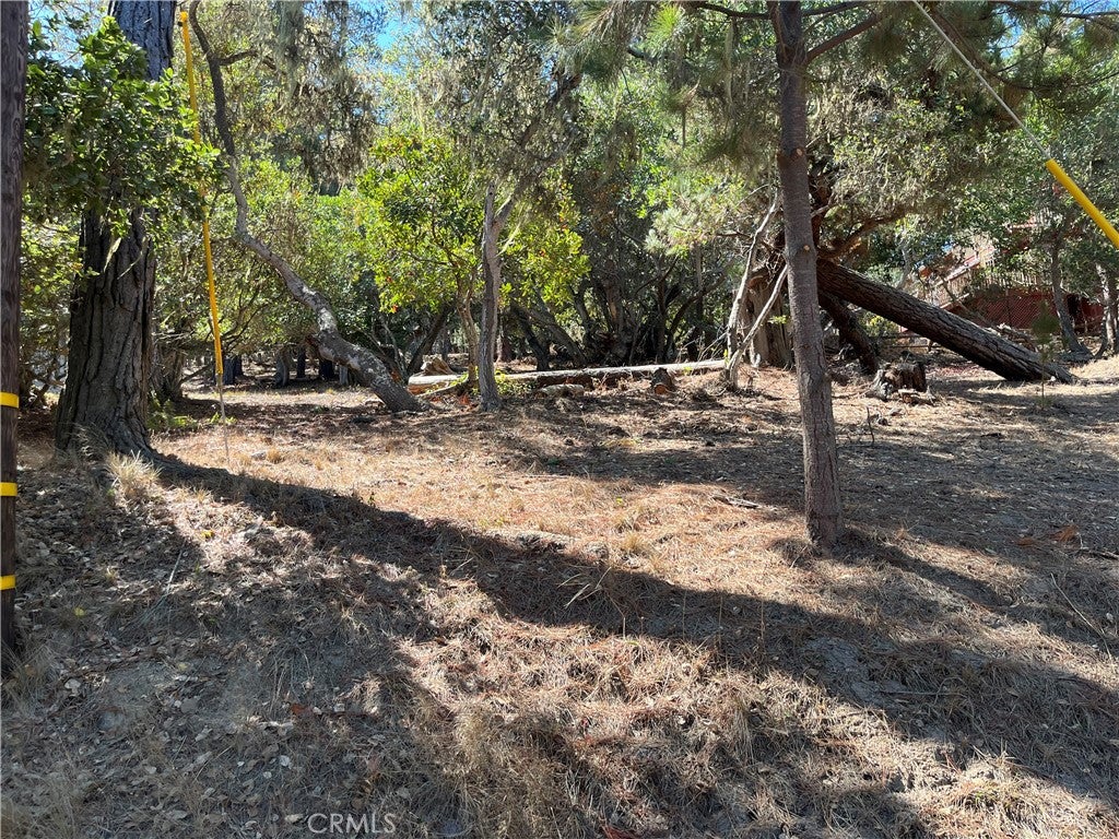 1840 Fern Drive