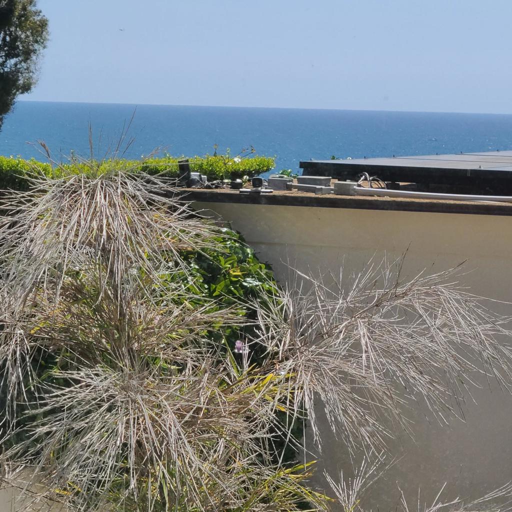 Del Mar - Residential Lease