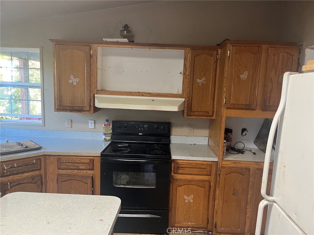 10703 Paradise Court