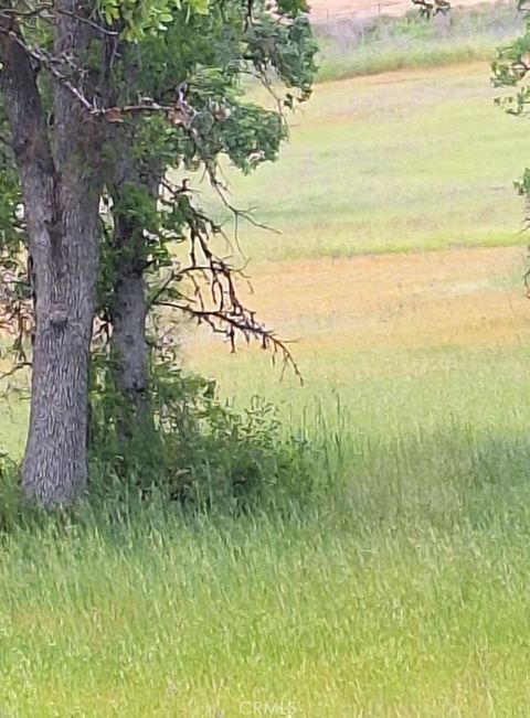 Photo of 3397 OLEANDER Street, Clearlake, CA 95422 (MLS # LC25131709)