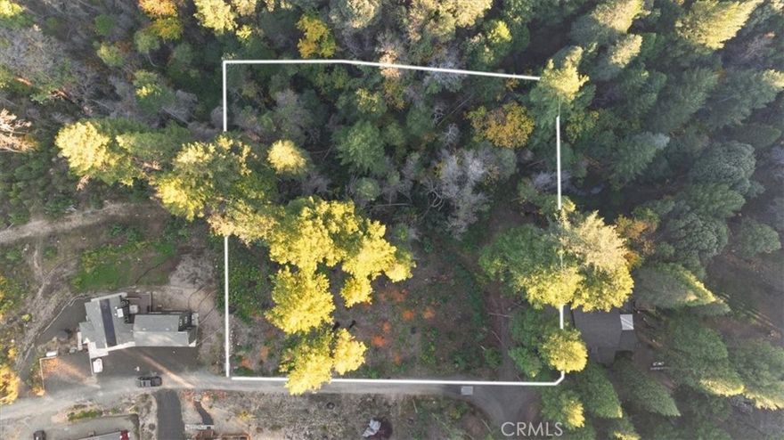 Build your dream home at Lake Madrone. Large 1 acre lot surrounded by custom homes with gorgeous views. A peaceful setting with natural landscaping and gently sloped. The Lake Madrone community is conveniently situated, close to Bucks Lake and Lake Oroville, you're right in the middle of it all; fishing, hunting, hiking, watersports galore!!! With private Lake access, a basketball court, creeks, picnic and firepit area, horseshoe set up, and relaxing beaches you'll never want to leave. Bring your vision and create a premiere vacation property or year round escape.