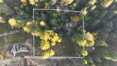 Photo of 0 Path in the Woods, Berry Creek, CA 95916 (MLS # OR25241103) Photo of 0 Path in the Woods, Berry Creek, CA 95916 (MLS # OR25241103)