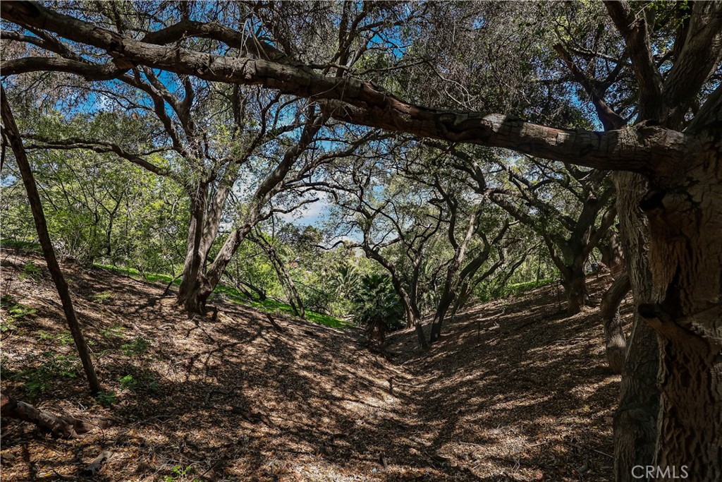 2222 Carbon Canyon Road