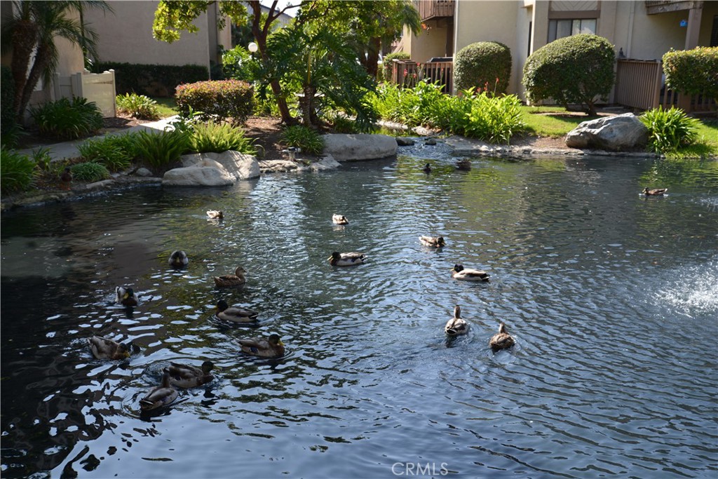 Harbour Vista (HARV) - Residential