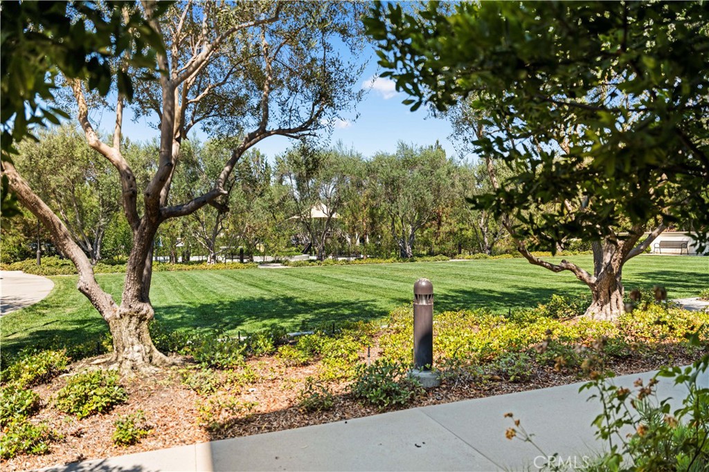 Azalea - Residential Lease