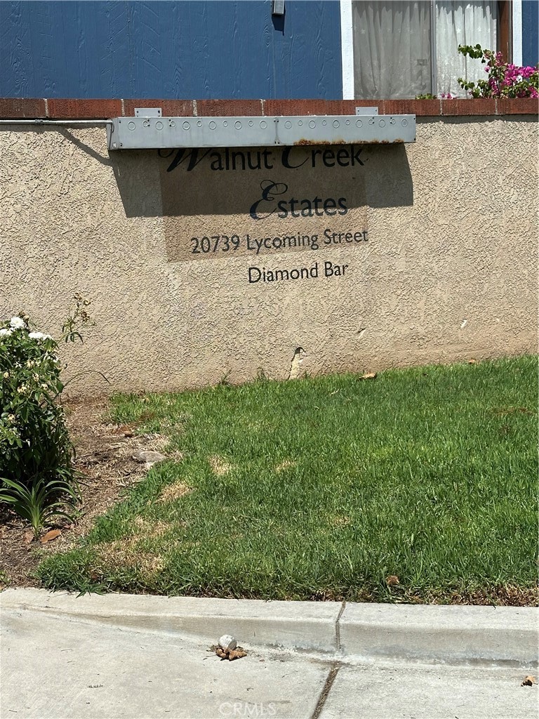 20739 Lycoming Street 142