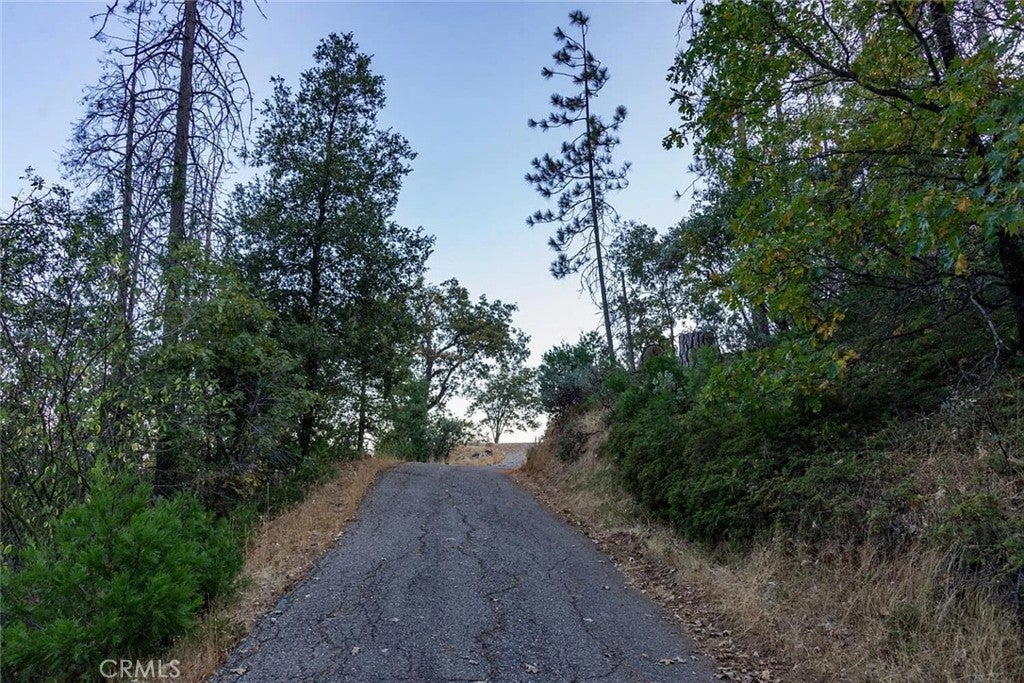 35528 Road 223