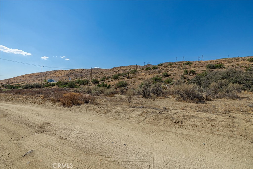 Custom Acton (CACTO) - Land