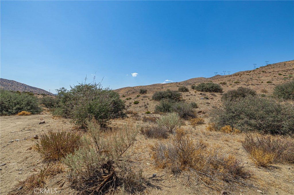 Custom Acton (CACTO) - Land