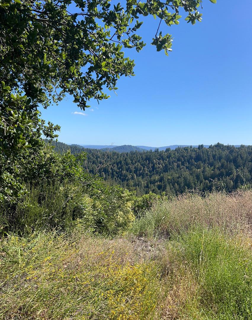 Bear Creek Road