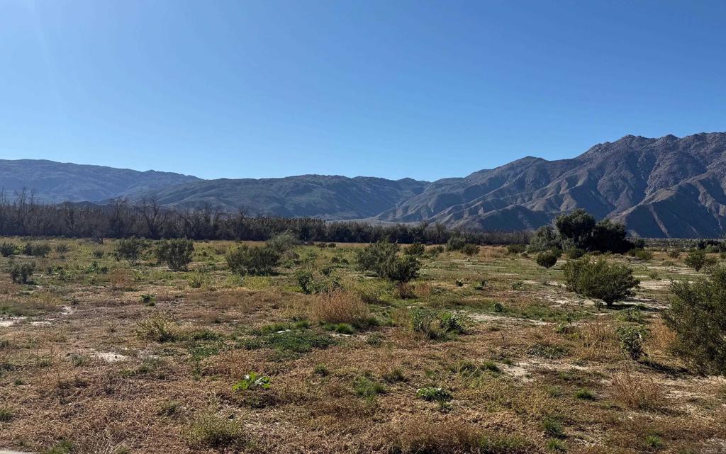 Borrego Springs Road