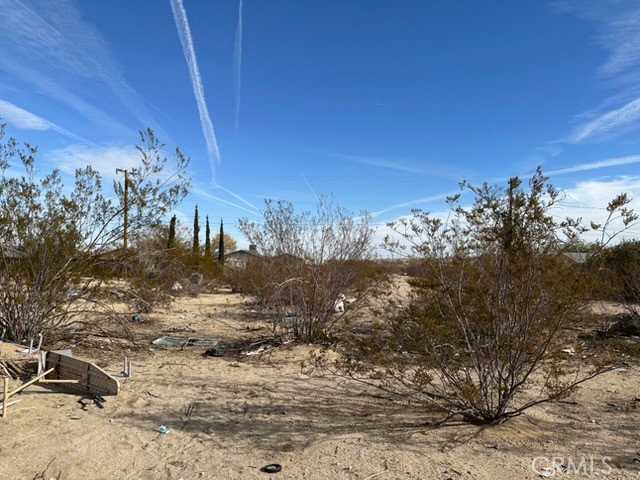 6325 Palm View
