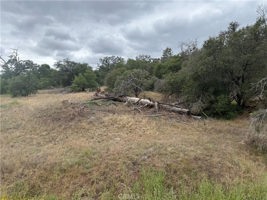 2112 Lot # North Dome