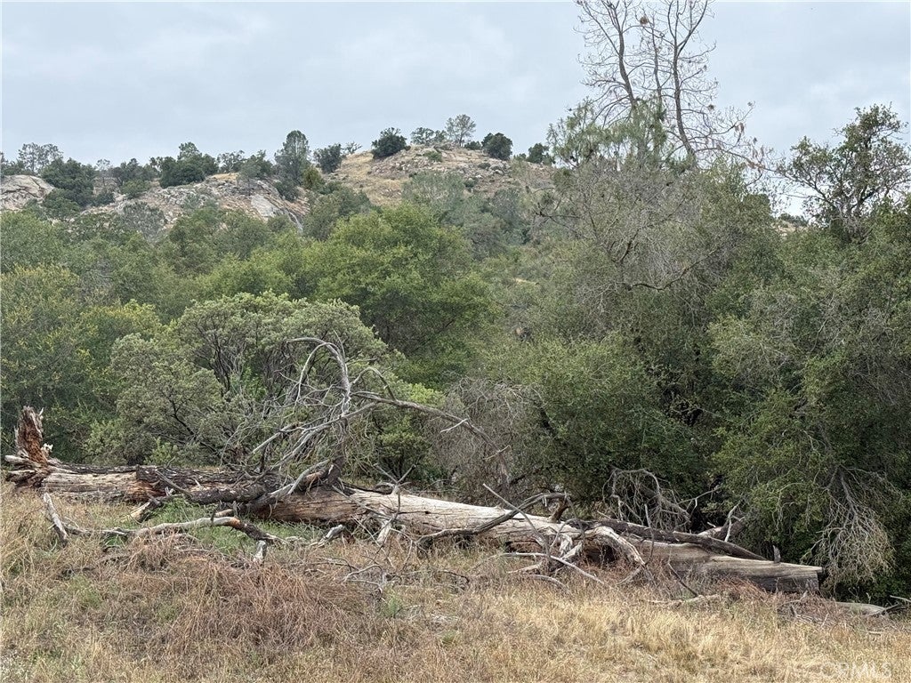 2112 Lot # North Dome