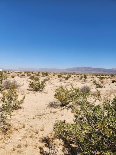 0 El Paseo
