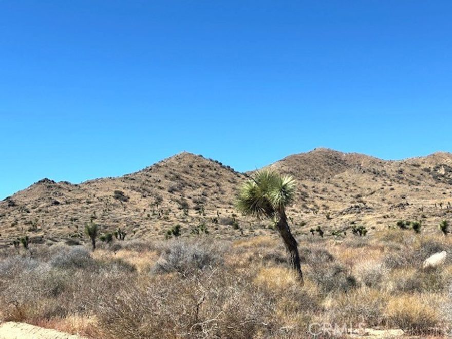 Two 5-acre parcels, totaling 10 acres of open desert land in Yucca Valley — the perfect opportunity to own your own off-the-grid getaway! Surrounded by beautiful desert scenery and mountain views, this property offers peace, privacy, and endless potential. Ideal for a private retreat, recreation, or future investment. Enjoy wide-open skies, stunning sunsets, and star-filled nights in this serene desert setting.
Escape the city and create your own off-grid lifestyle — 10 acres of opportunity await!