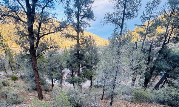ADDRESS PRIVATE, FRAZIER PARK, CA 93225 - Image c58e290d0271ef62390b7b2c2c878cab/3102624749