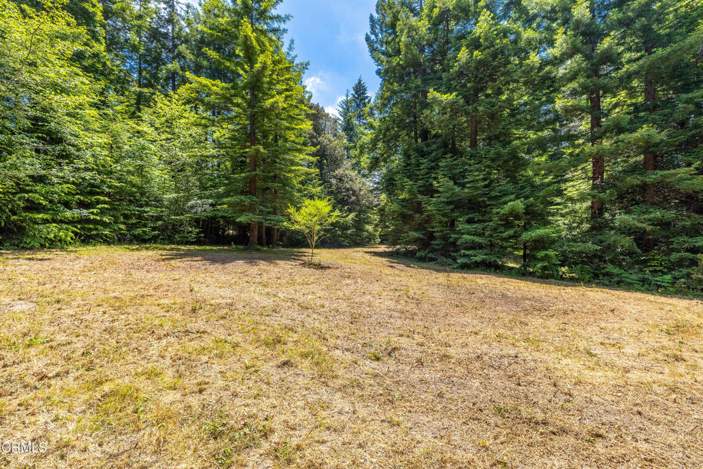 15620 Shane Drive