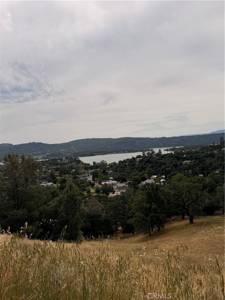 12450 Mountain View