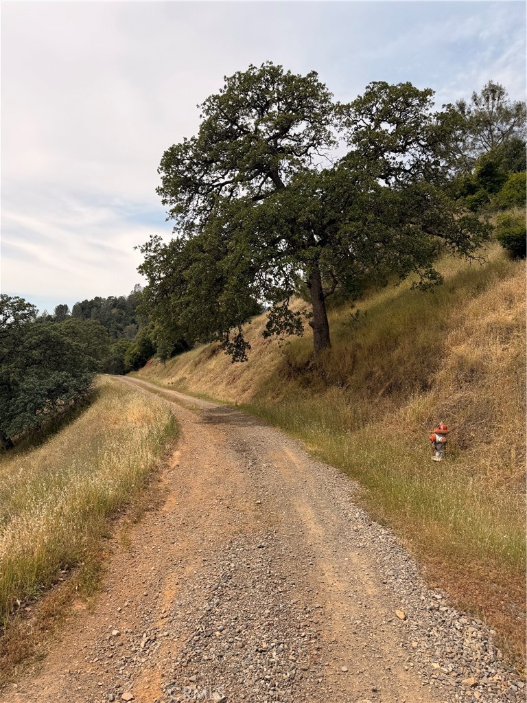 12450 Mountain View