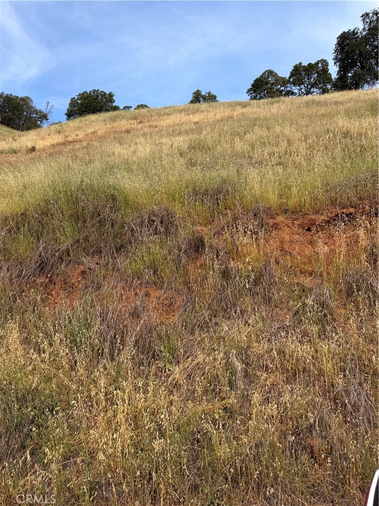 12450 Mountain View