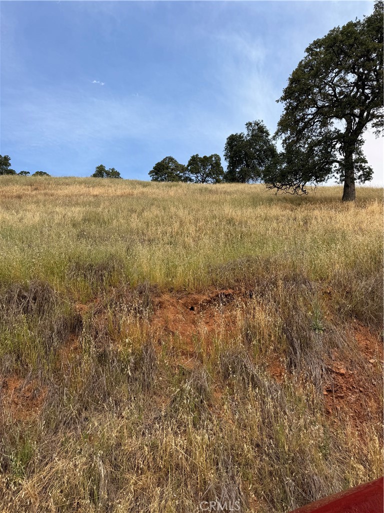 12450 Mountain View