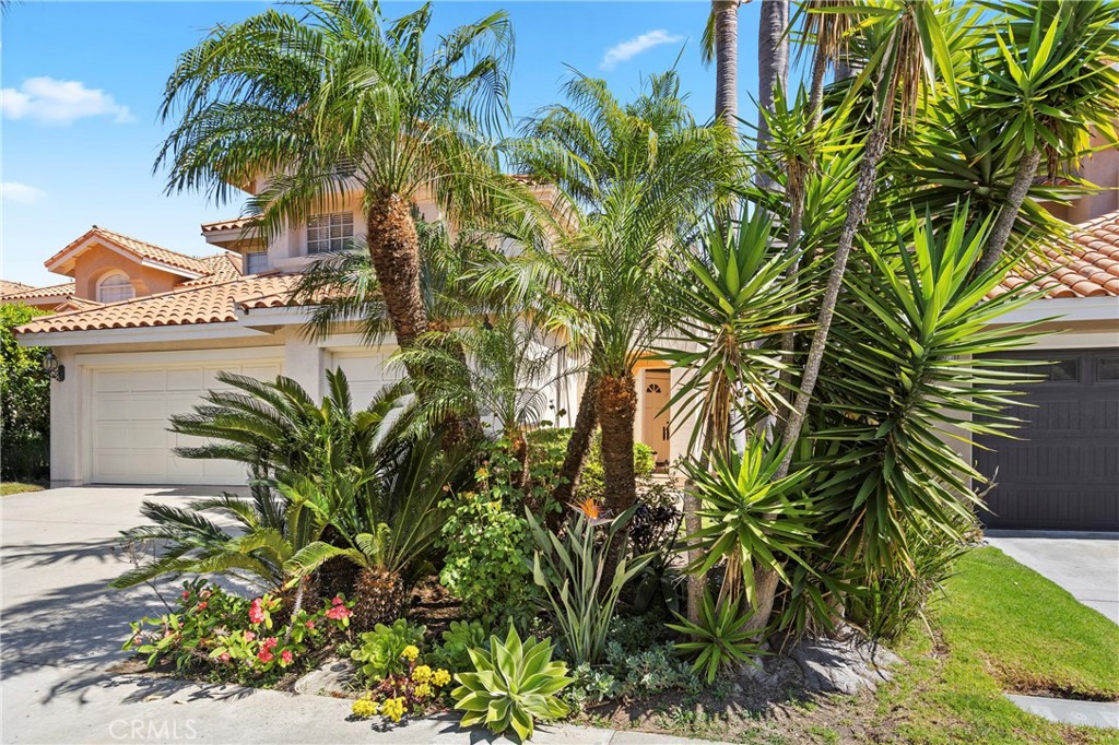 29636 Tamarron
