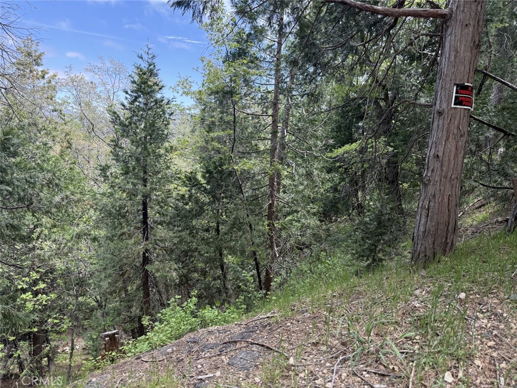 0 Alpine Court