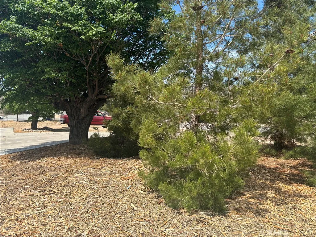 Victorville, California 92395, United States, 3 Bedrooms Bedrooms, ,2 BathroomsBathrooms,Residential,Active,117824